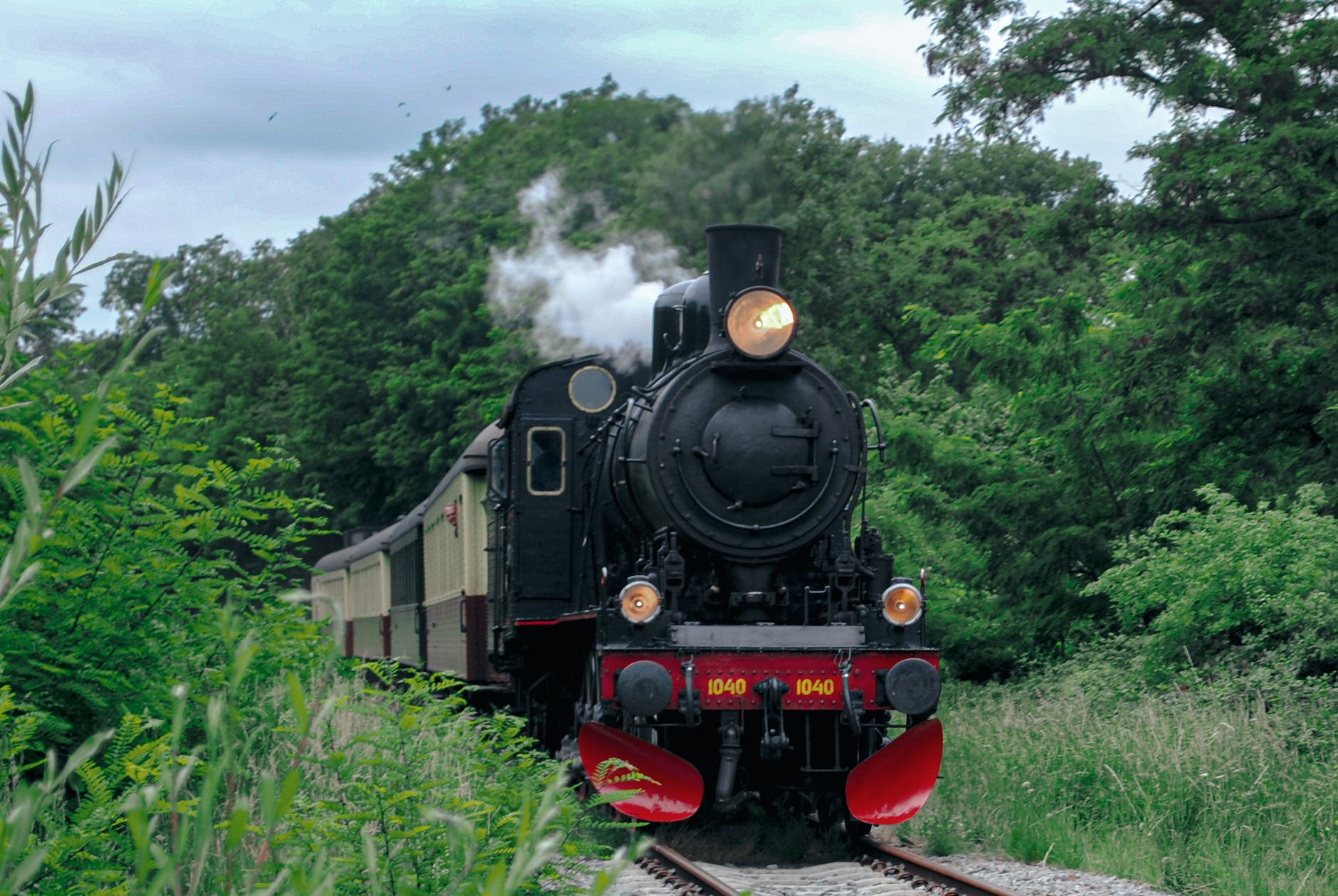 5 Magic Train Rides Your Kids Will Get Excited About
